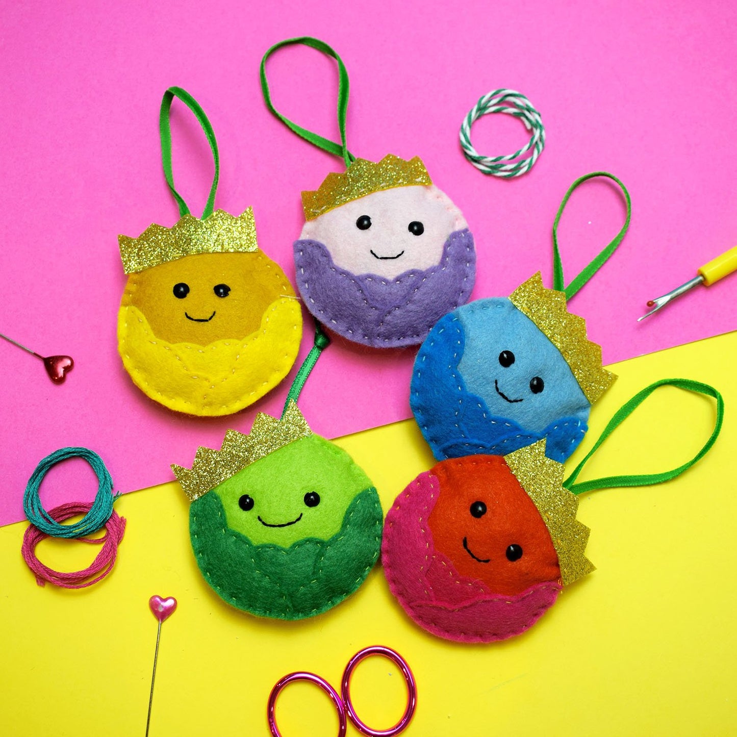 Rainbow Sprout Felt Kit
